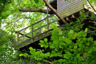 Cabane dans les arbres Calvados