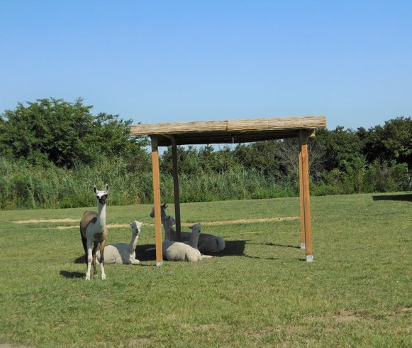 Domaine AbracadaRoom : La Ferme Pacifique Camargue - Image 1