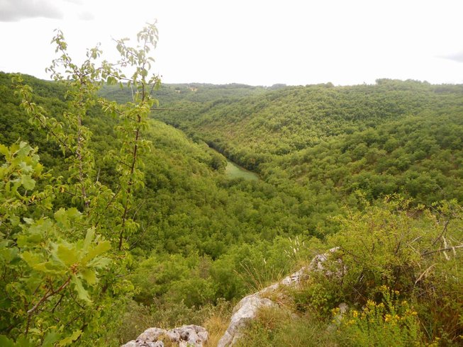 Hébergement AbracadaRoom : La Cabane-Spa Hobbit - Image 16