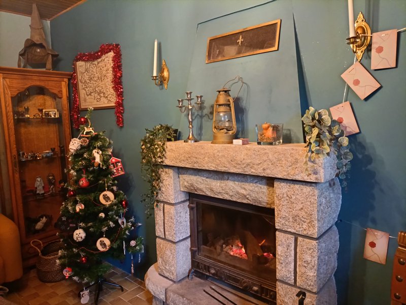 Hébergement AbracadaRoom : Le Chaudron Magique  de Loguivy - Image 5