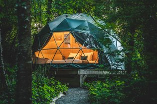 Géode Peuplier Argenté