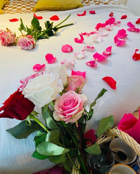 Hébergement AbracadaRoom : La Tête dans les étoiles - Image 39