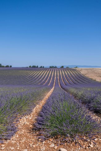 Domaine AbracadaRoom : Lavan'dôme - Image 10