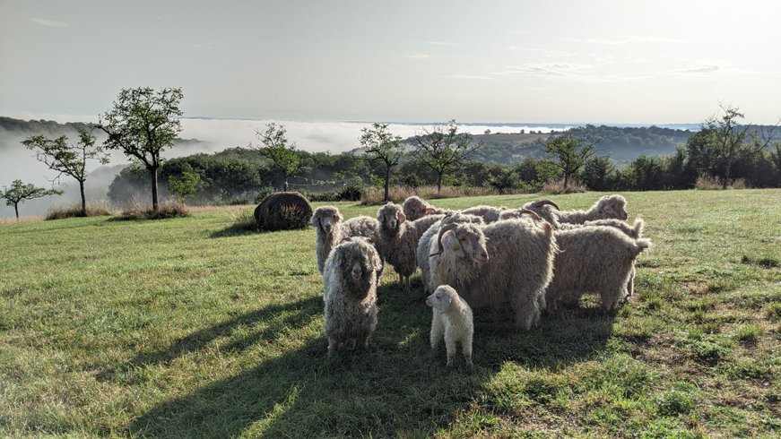 Hébergement AbracadaRoom : Espace TULIPA - Image 16