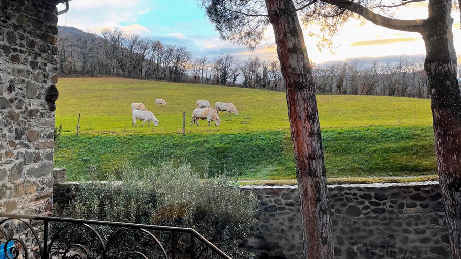 Hébergement AbracadaRoom : La caravane bohème - Image 11