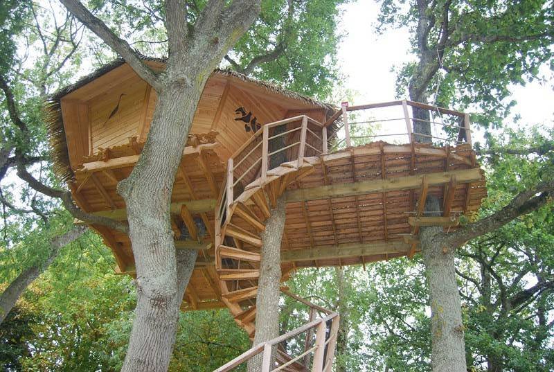 Hébergement AbracadaRoom : Dam'oiseaux - Image 2