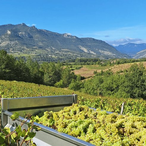 Hébergement AbracadaRoom : ※ Homnest ※ Cirque des Géants ※ Vignoble à 20 min de Die - Image 19