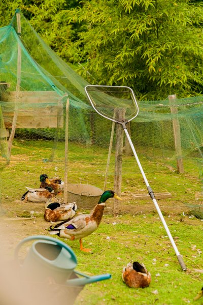 Domaine AbracadaRoom : Homnest (Uzemain) - Image 7