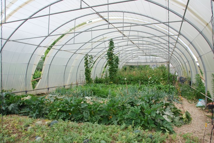 Hébergement AbracadaRoom : Le Tonneau du Nid'Oiselet - au coeur d'une ferme en Provence - Image 28