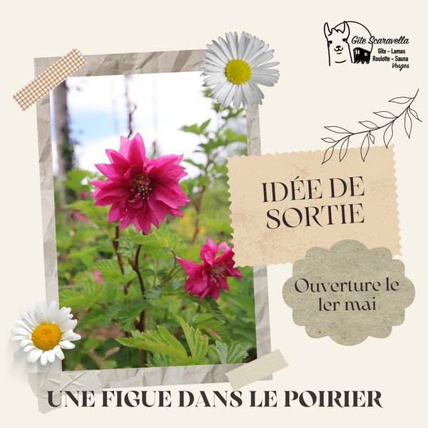 Domaine AbracadaRoom : Gîte Familial Scaravella - Image 42