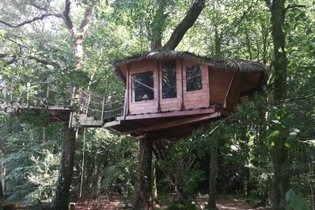 Boomhut Kusten van Armor