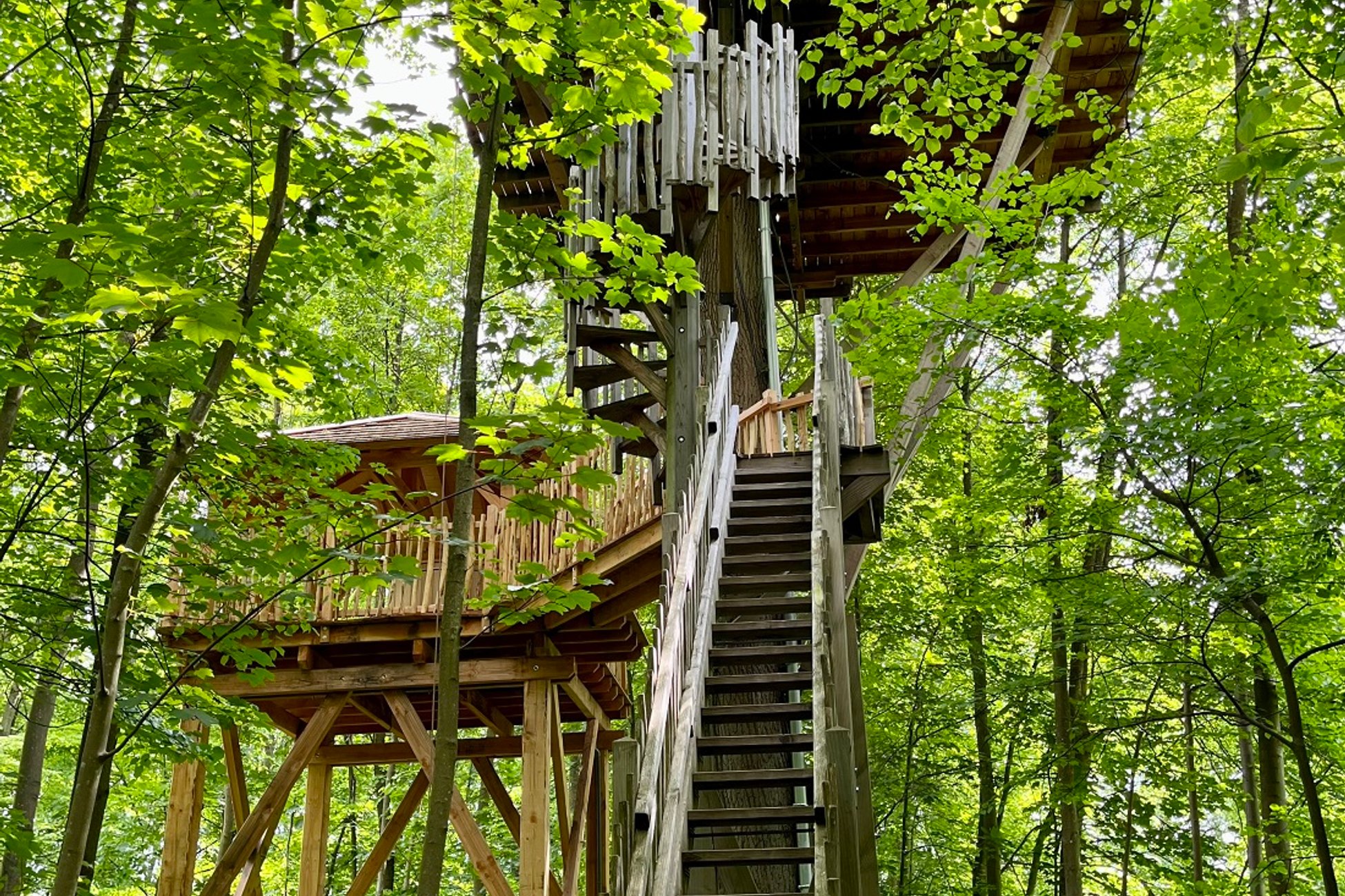 Hébergement UnicStay : Cabane Spa Carpe Diem à Raray