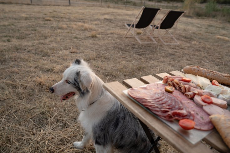 Domaine AbracadaRoom : Homnest (Espinasse) - Image 3