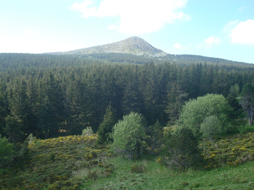 La Clairière de Peylenc - Refuge en Velay à Saint-Pierre-Eynac (40)
