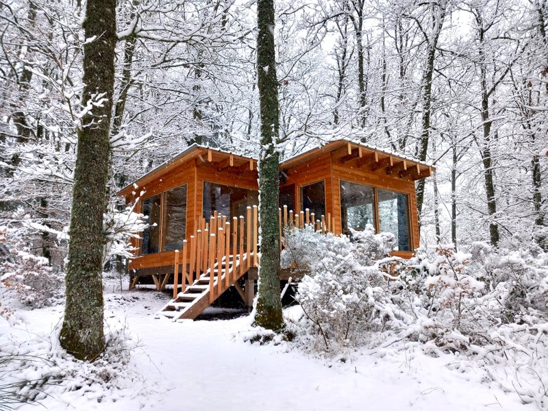 Hébergement AbracadaRoom : Cabane de la Forêt au bord d'un lac - Image 2