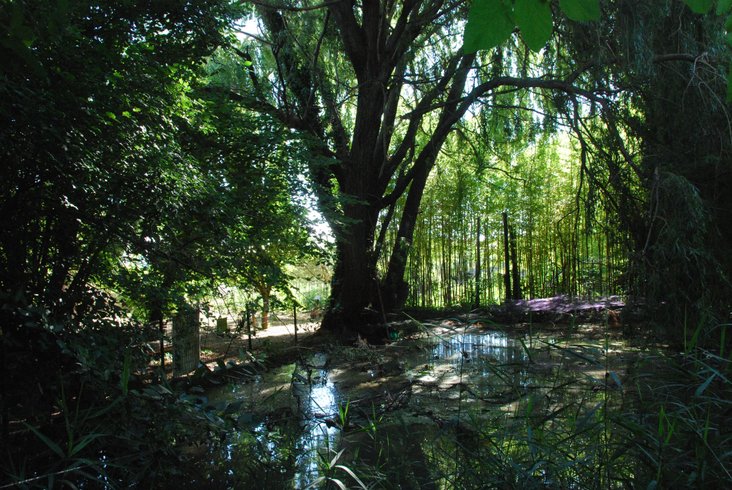 Domaine AbracadaRoom : Nid'Oiselet - Image 28