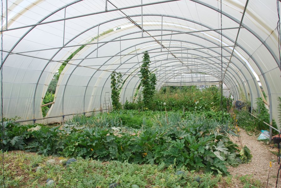 Hébergement AbracadaRoom : Le Tonneau du Nid'Oiselet - au coeur d'une ferme en Provence - Image 28