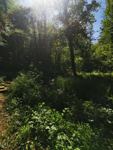 Hébergement AbracadaRoom : Dôme Stella & Spa - Image 14