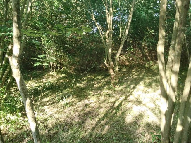 Hébergement AbracadaRoom : L'Arche de Robinson - Image 30