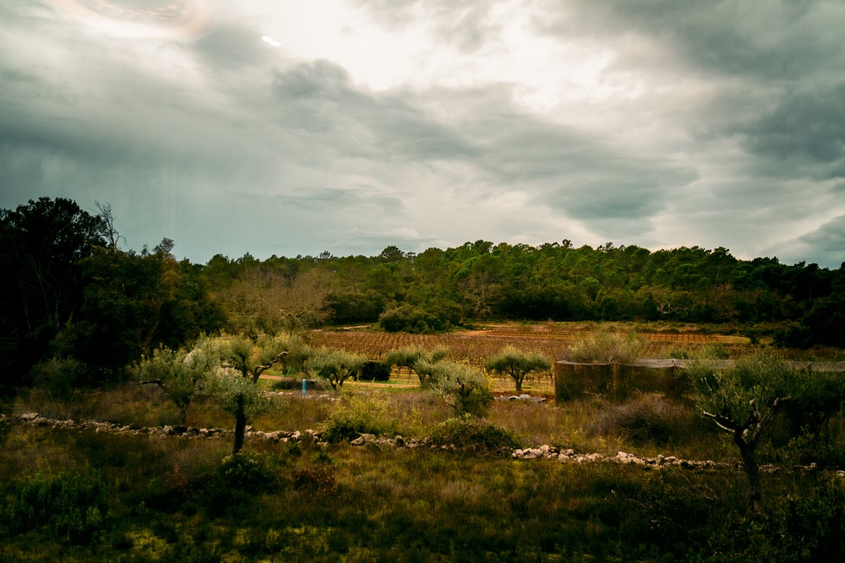 Homnest -Mélodie Provençale en Sainte-Baume à Correns (4)