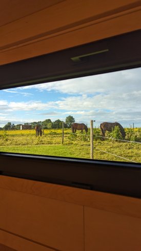 Hébergement AbracadaRoom : Tiny House La Cavalerie - Image 4