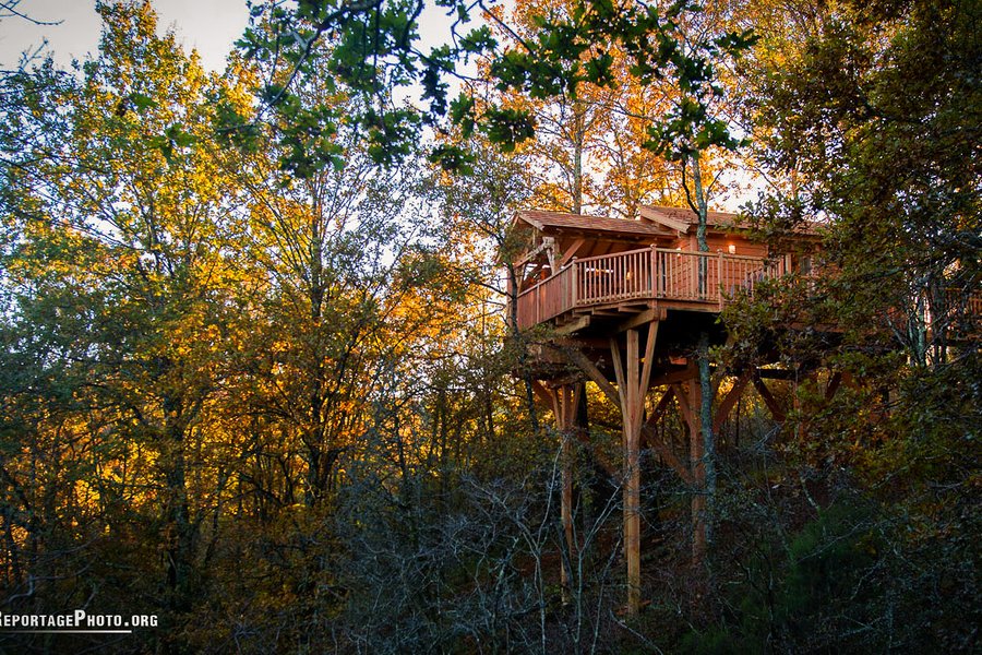 Cabane perchée & spa — photo 2