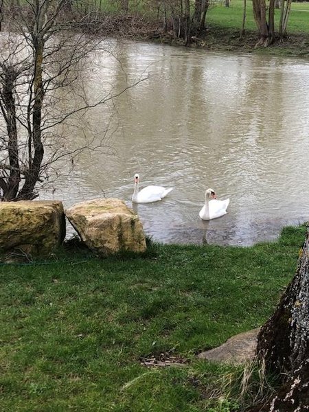 Domaine AbracadaRoom : Chalet Pulligny - Image 1