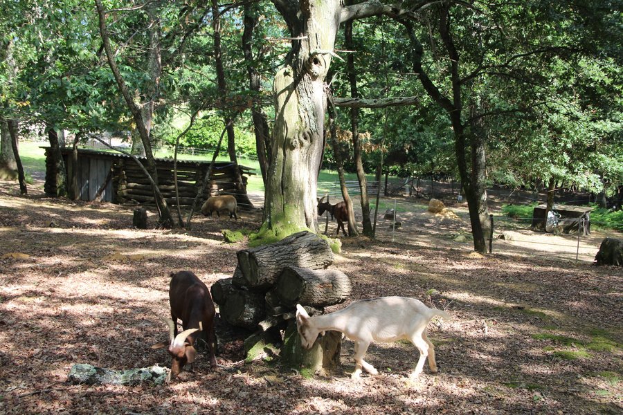 Domaine AbracadaRoom : Au Bois d'Escoumos - Image 13