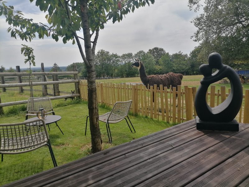 Hébergement AbracadaRoom : La Roulotte Kanavu au milieu des animaux - Image 6