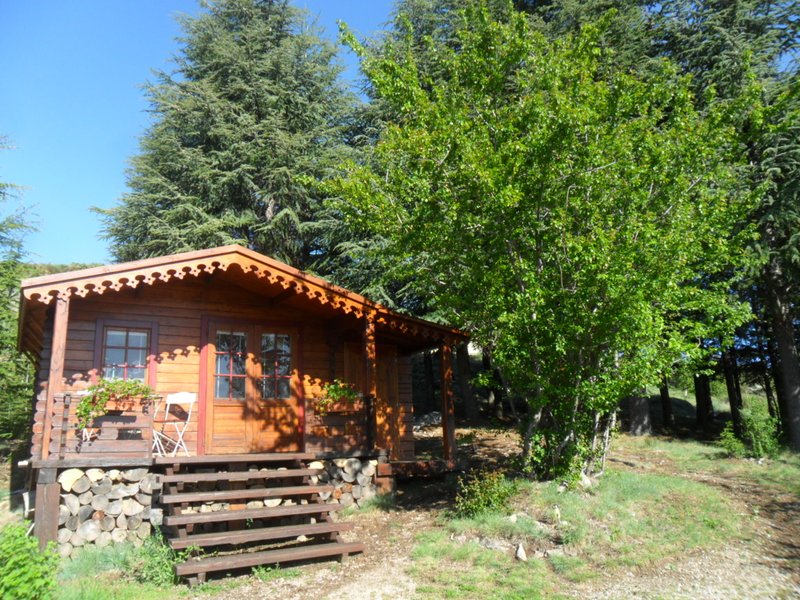 Domaine AbracadaRoom : Le Bois d'Eden - Image 2