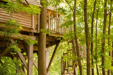 Cabane Spa Etoilée à Raray (1)