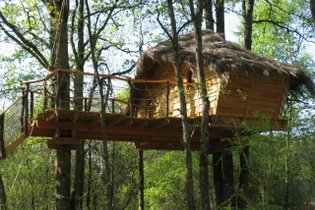 Treehouse Loir-et-Cher