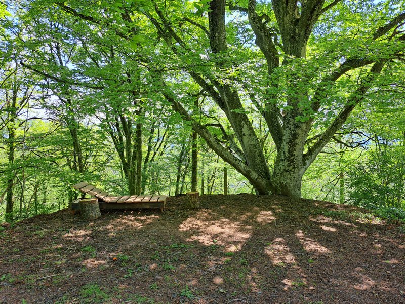 Domaine AbracadaRoom : Le Refuge d'Yzeron - Image 17