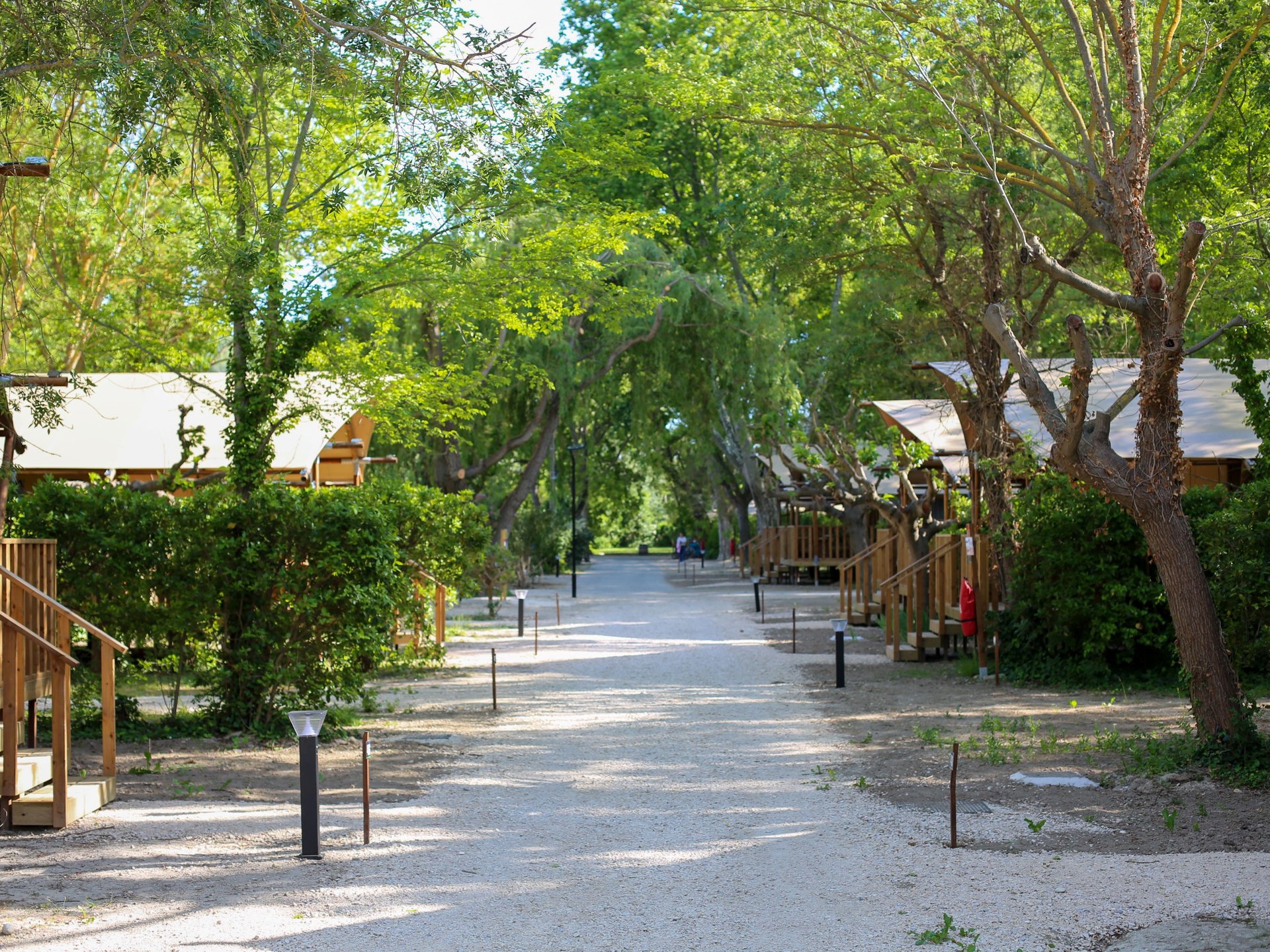 Lodge Safari 6 Personnes 38m²