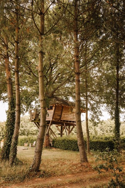 Hébergement AbracadaRoom : Cabane Hulotte - Image 3