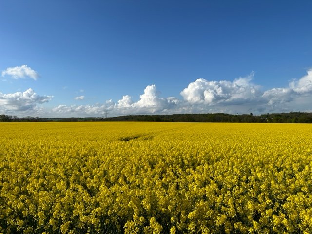 Domaine AbracadaRoom : Paley de l'éden - Image 11