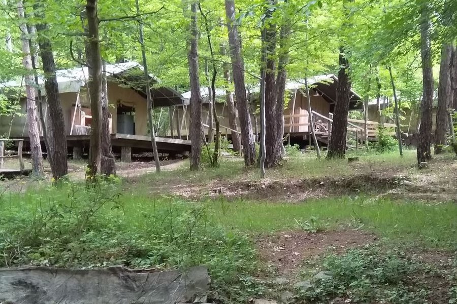 Tente safari Myosotis (6 personnes) — photo 2