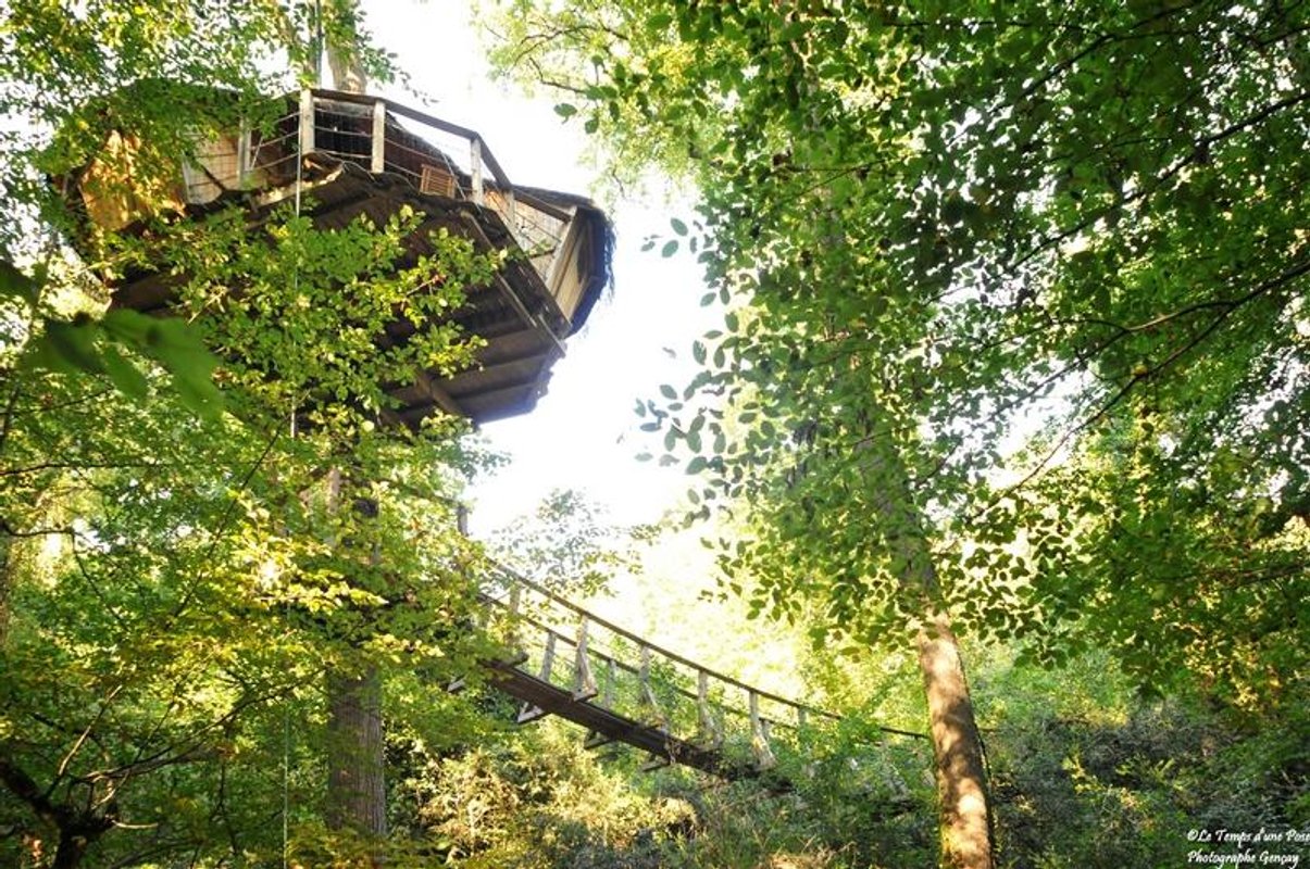 exterieur-amazonie-cabane-belle