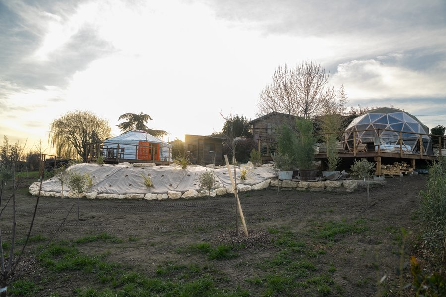 Domaine AbracadaRoom : Du coq à l'âne - Image 5