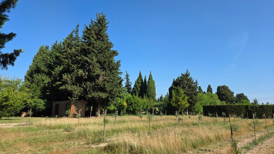 Domaine AbracadaRoom : Happy Culture - Image 3