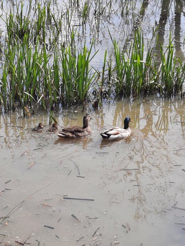 Domaine AbracadaRoom : Les Cabanes de la Loge - Image 8