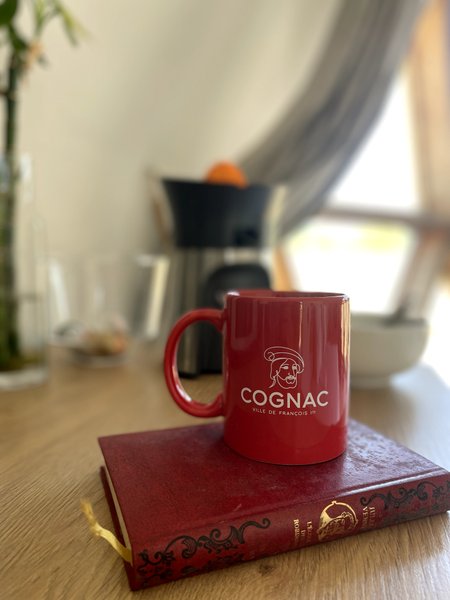 Hébergement AbracadaRoom : Le Dôme de Cognac - Image 22