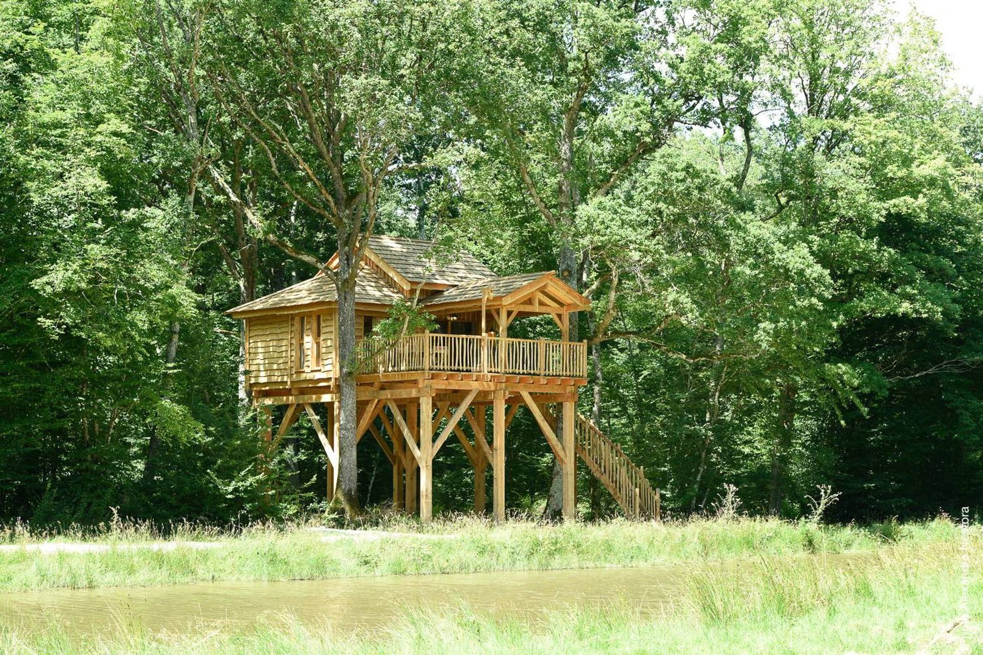 repos-dépaysement-cabane dans les arbres-séjour insolite-en famille-centre-abracadaroom