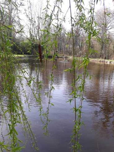 Domaine AbracadaRoom : Domaine de L'Orée de Sologne - Image 9