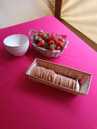 Domaine AbracadaRoom : Dôme Nature Bernex - Image 8