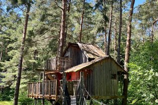 Cabanes Nids des Vosges