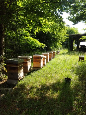 Domaine AbracadaRoom : Nids en Périgord - Image 3