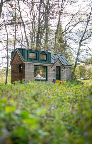 Hébergement AbracadaRoom : Dodomy House - Salamandre - Image 16