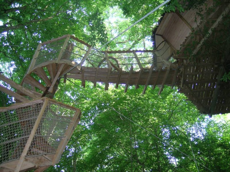 escalier-colimacon-nid-de-cassandre-chateau-courtalain
