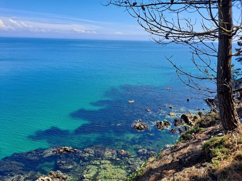 Domaine AbracadaRoom : Ecurie de Kermorvan - Image 2